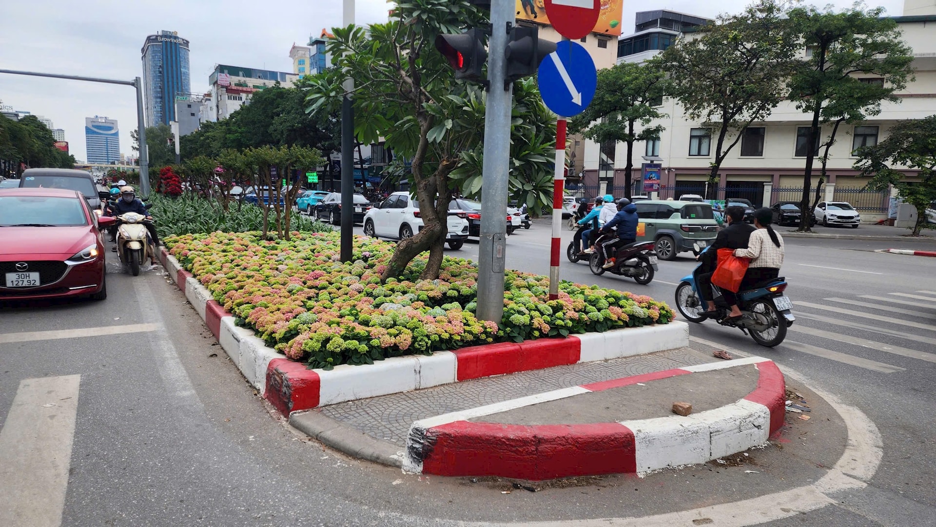 Hà Nội: Rực rỡ cây hoa và chiếu sáng phục vụ Tết Dương lịch 2026- Ảnh 4.