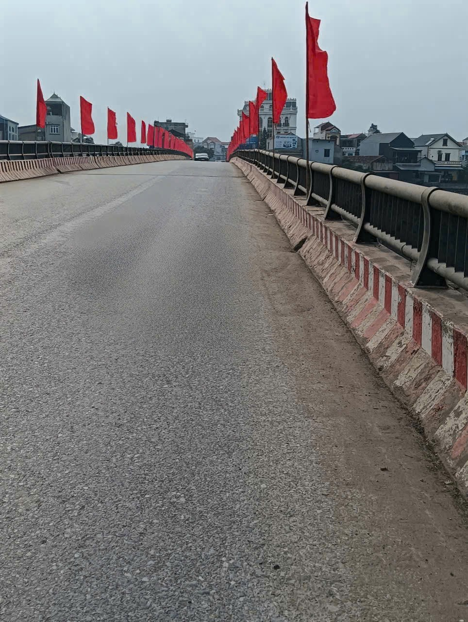 Hồng Sơn rực rỡ cờ hoa mừng năm mới 2026 và hướng tới Đại hội Đại biểu toàn quốc lần thứ XIV của Đảng- Ảnh 8.