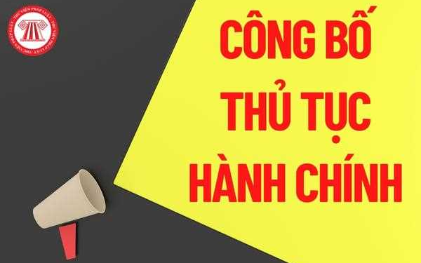 Quyết định công bố Danh mục TTHC bị bãi bỏ lĩnh vực Quản lý đê điều và Phòng, chống thiên tai thuộc thẩm quyền giải quyết của UBND cấp xã trên địa bàn thành phố Hà Nội