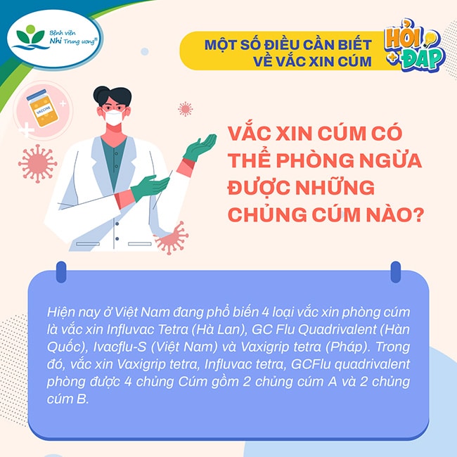 MỘT SỐ ĐIỀU CẦN BIẾT VỀ VẮC XIN CÚM- Ảnh 1.
