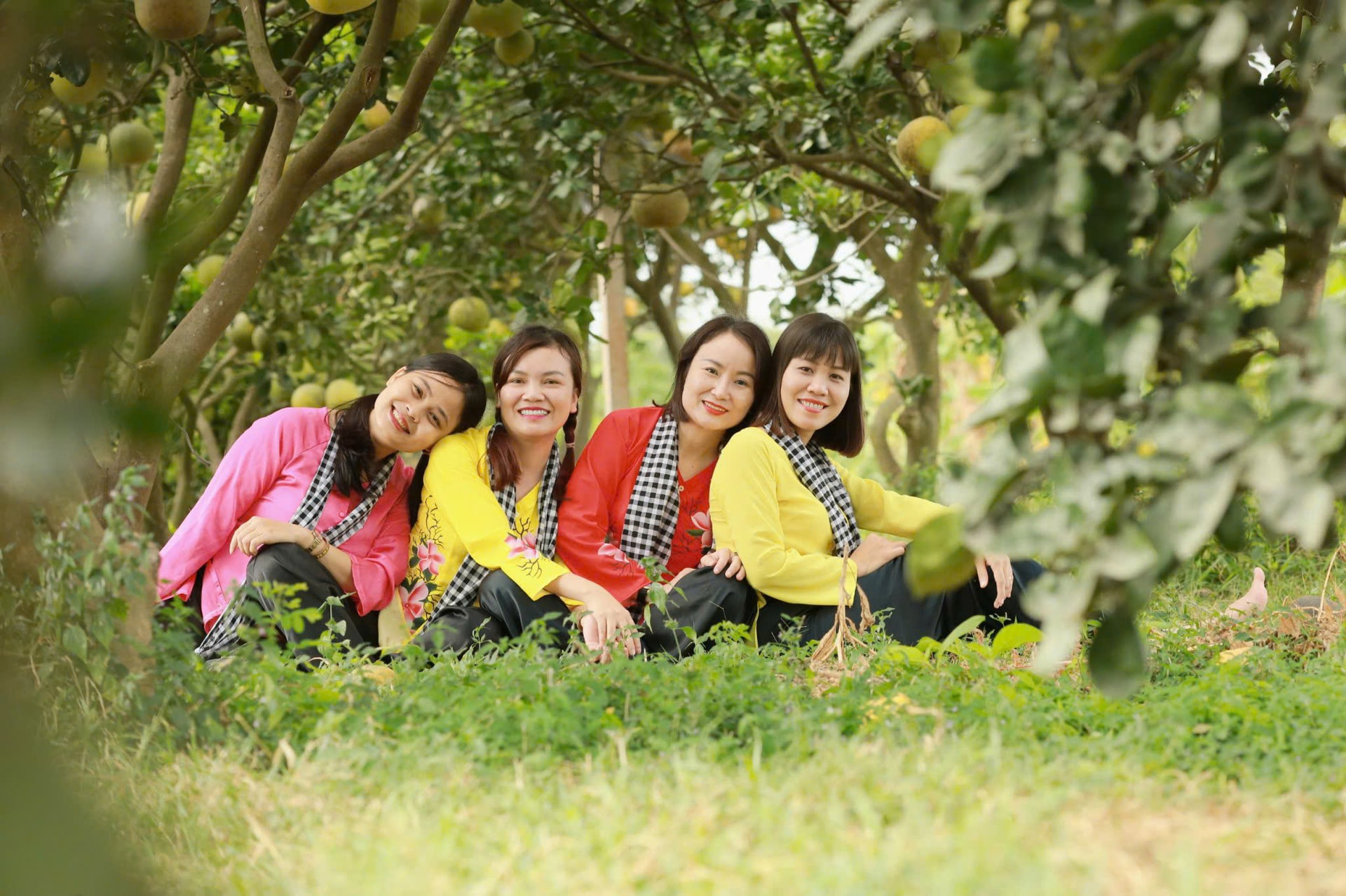 Phú Xuyên: Kết nối du lịch làng nghề với nông nghiệp trải nghiệm- Ảnh 1.