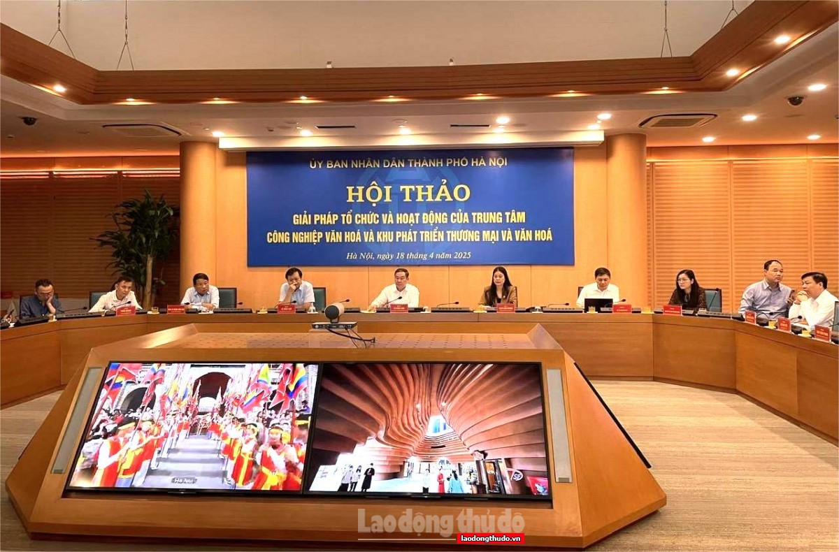 Hội thảo về “Giải pháp tổ chức và hoạt động của trung tâm công nghiệp văn hoá, khu phát triển thương mại và văn hoá”- Ảnh 1.