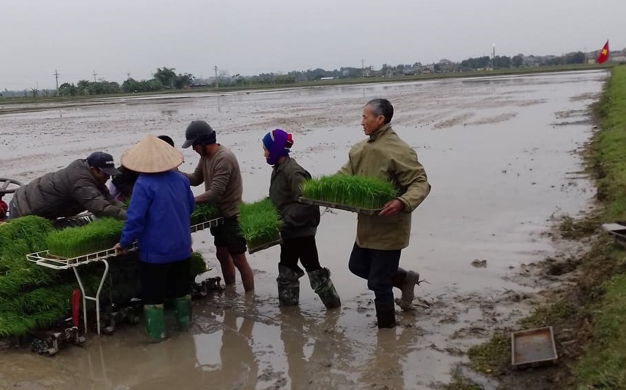Người cựu chiến binh đi đầu trong phong trào xây dựng Nông thôn mới và tham gia công tác của địa phương- Ảnh 2.