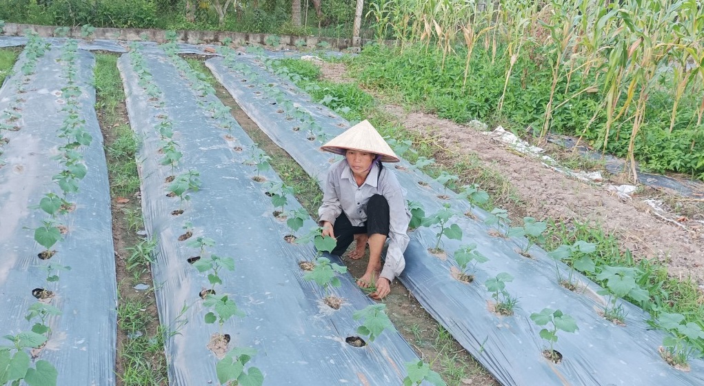 Chi hội trưởng phụ nữ tâm huyết với công tác Hội, giỏi lao động, sản xuất phát triển kinh tế- Ảnh 1.