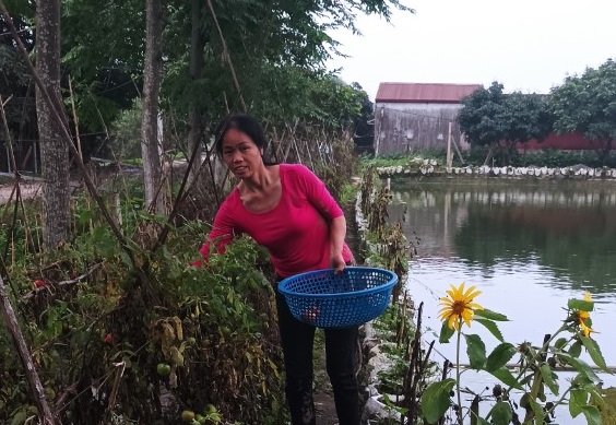 Chi hội trưởng phụ nữ tâm huyết với công tác Hội, giỏi lao động, sản xuất phát triển kinh tế- Ảnh 2.