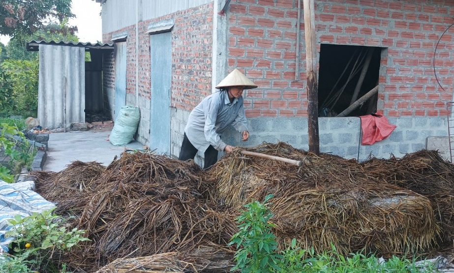 Chi hội trưởng phụ nữ tâm huyết với công tác Hội, giỏi lao động, sản xuất phát triển kinh tế- Ảnh 3.