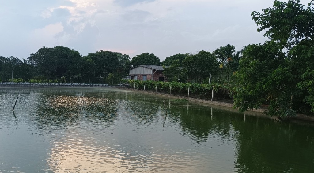 Chi hội trưởng phụ nữ tâm huyết với công tác Hội, giỏi lao động, sản xuất phát triển kinh tế- Ảnh 4.