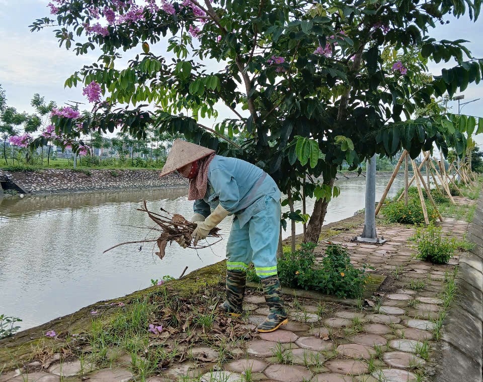 C:\Users\Admin\Desktop\HUYỆN ỦY - UBND HUYỆN\MỚI\Chị Đềm 11.jpg