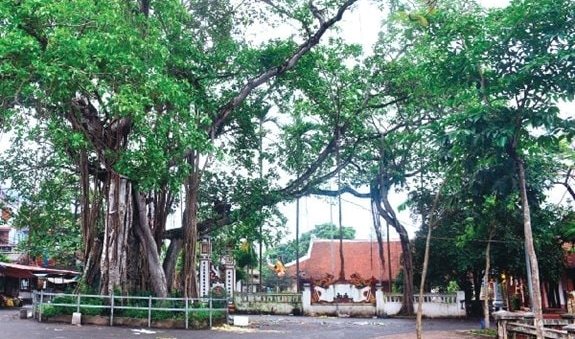 Ứng Hoà có 5 di tích lịch sử - văn hóa được xếp hạng cấp Thành phố- Ảnh 2.