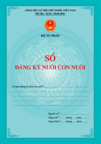 Điều chỉnh một số nhiệm vụ lĩnh vực hộ tịch, nuôi con nuôi, chứng thực phục vụ tổ chức chính quyền địa phương 2 cấp- Ảnh 2.