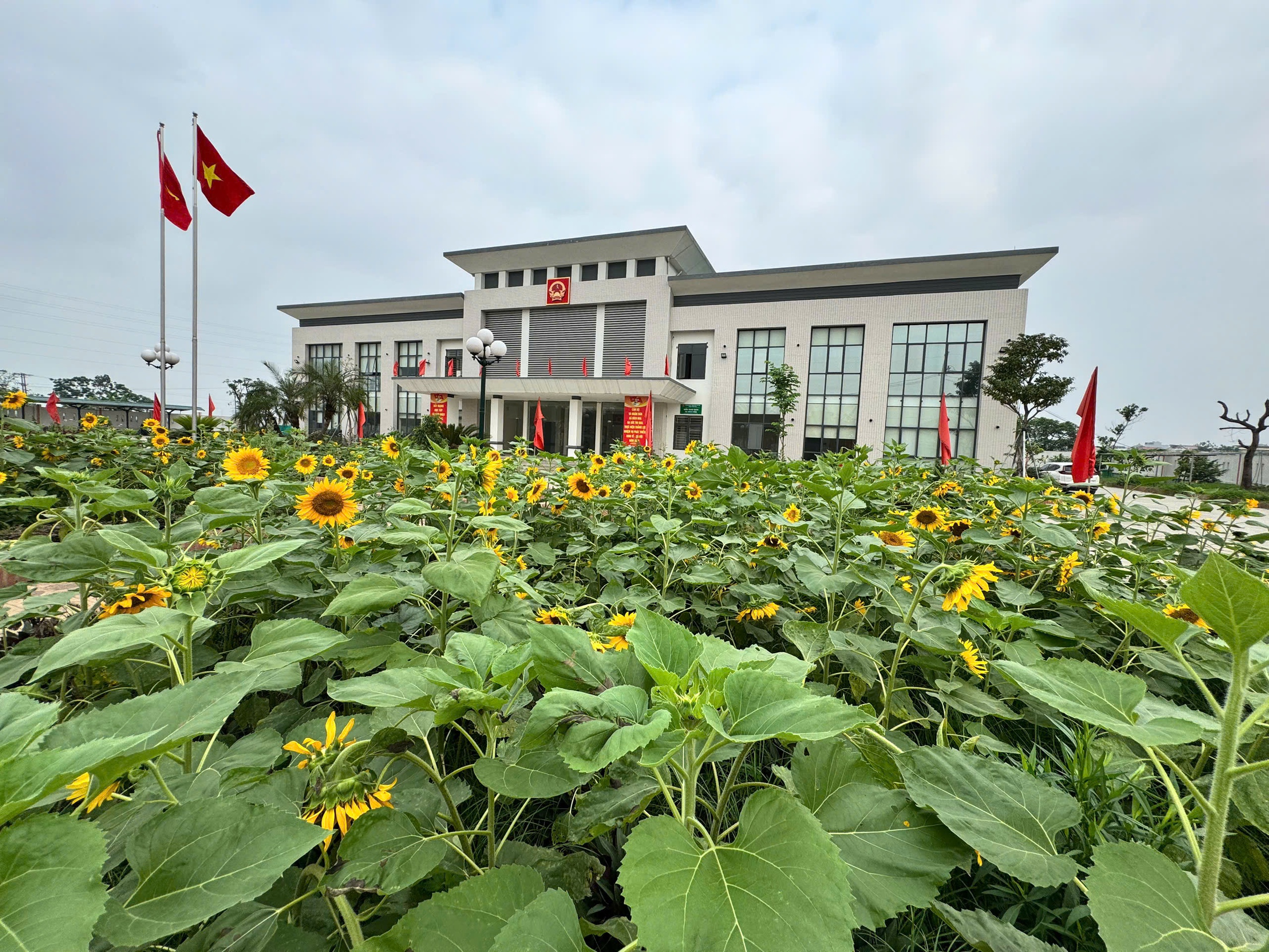 XÃ BÌNH MINH - VÙNG ĐẤT ĐỊA LINH NHÂN KIỆT