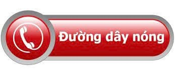 Triển khai Công điện số 90/CĐ-TTg của Thủ tướng Chính phủ: Công khai địa chỉ, danh mục TTHC và đường dây nóng trước 25/6/2025- Ảnh 1.