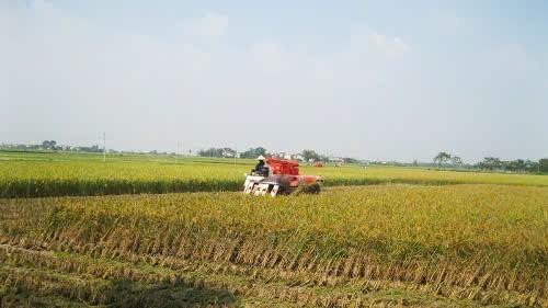 Tam Hưng - Mảnh đất giàu truyền thống, vững bước tương lai- Ảnh 3.