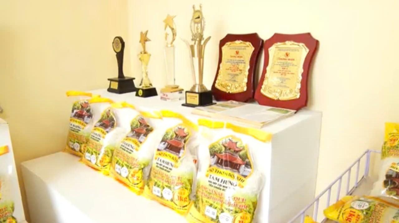 Tam Hưng - Mảnh đất giàu truyền thống, vững bước tương lai- Ảnh 4.