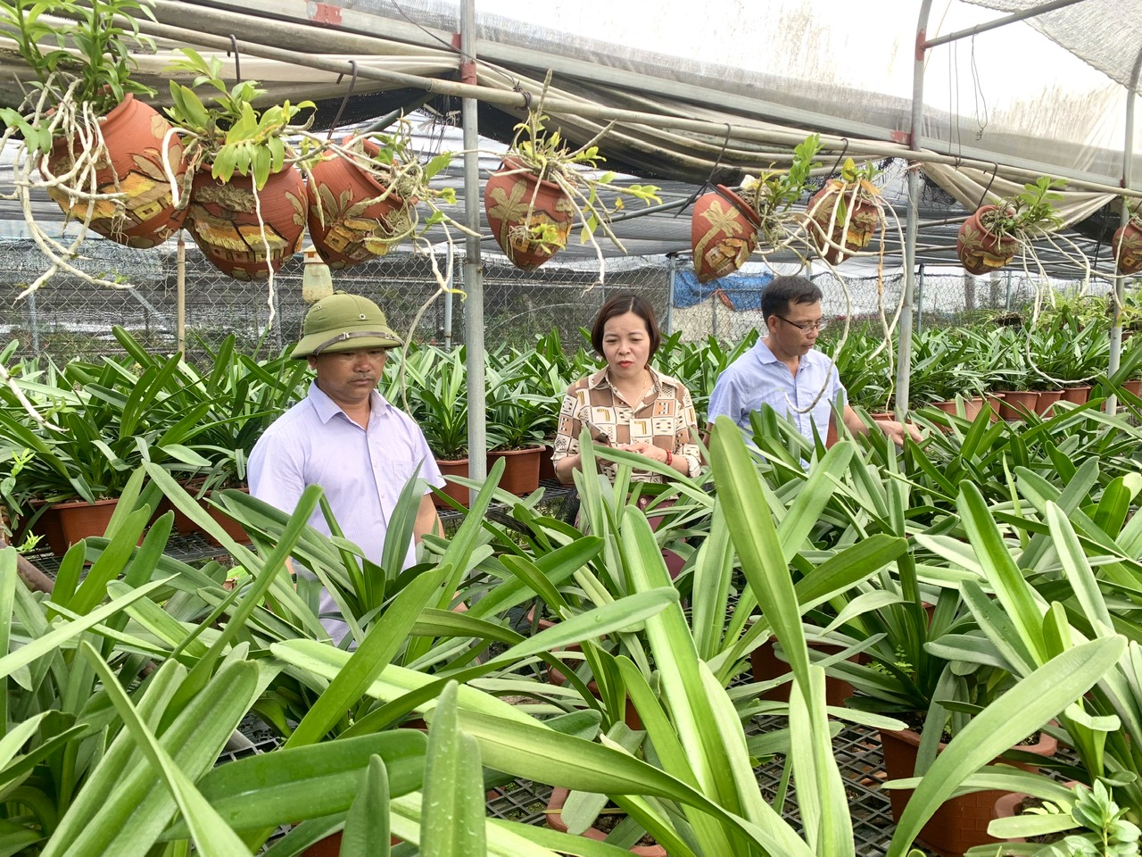 Người nông dân tiêu biểu làm giàu từ trồng hoa- Ảnh 2.