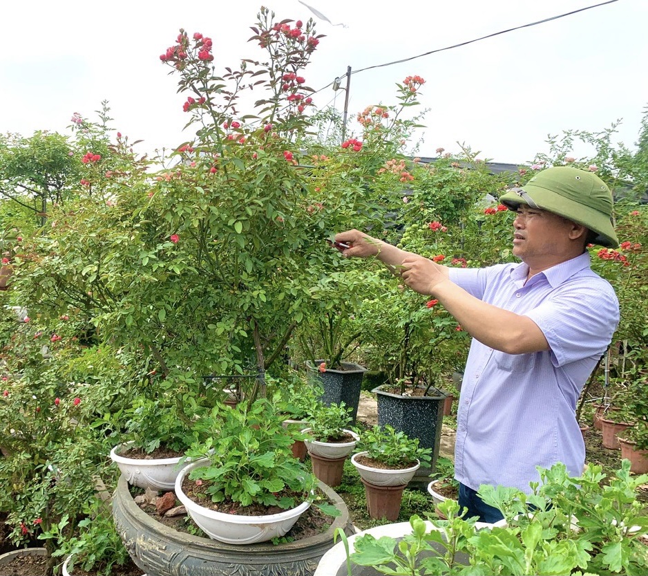 Người nông dân tiêu biểu làm giàu từ trồng hoa- Ảnh 1.