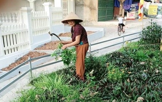 Cụ bà 83 tuổi trên 10 năm tình nguyện quét rác miễn phí; Chăm sóc vườn hoa làm đẹp xóm làng- Ảnh 2.