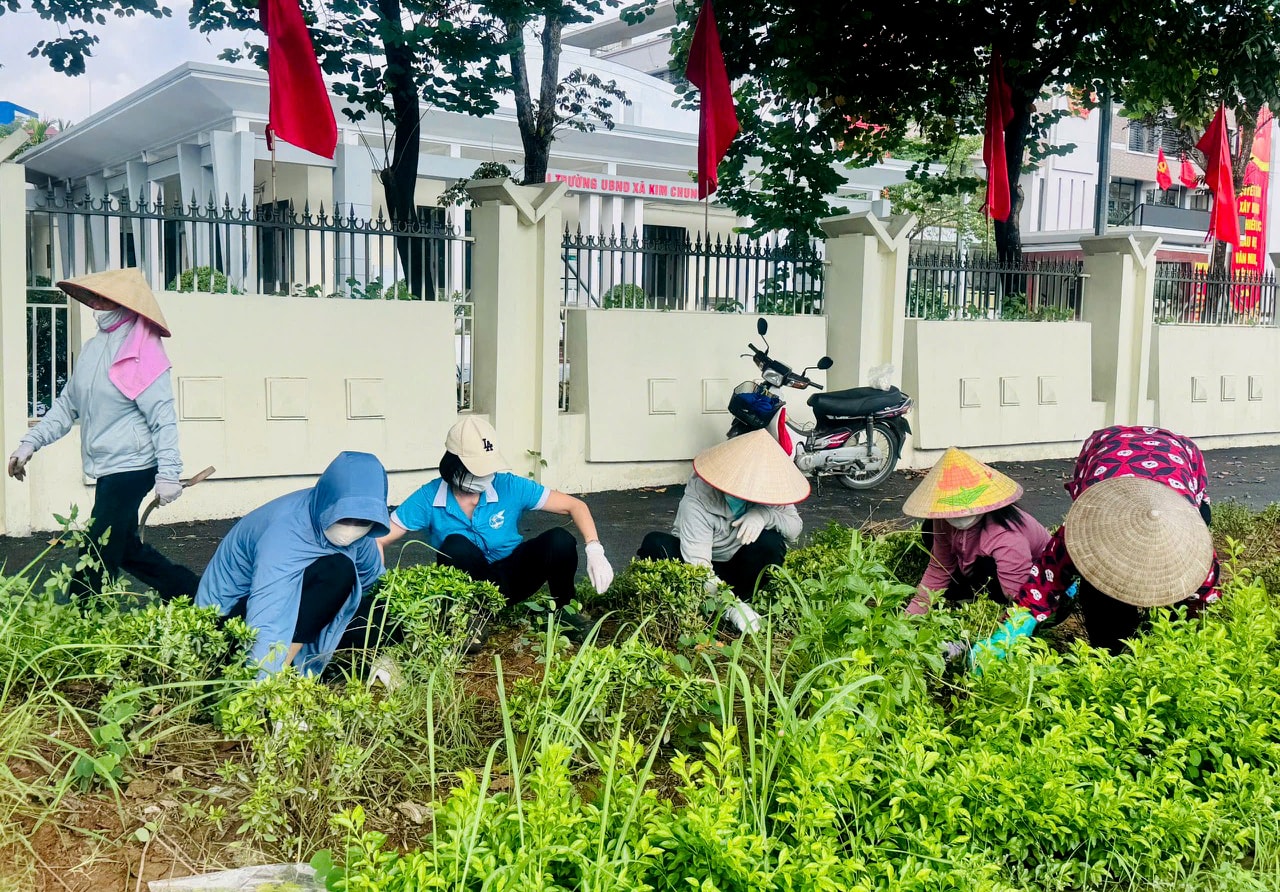 Phụ nữ 126 xã, phường ra quân vệ sinh môi trường- Ảnh 7.