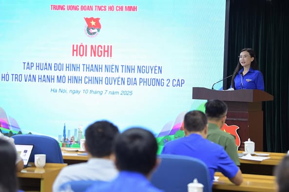 Tuổi trẻ cả nước ra quân hỗ trợ chính quyền hai cấp chuyển đổi số- Ảnh 1.