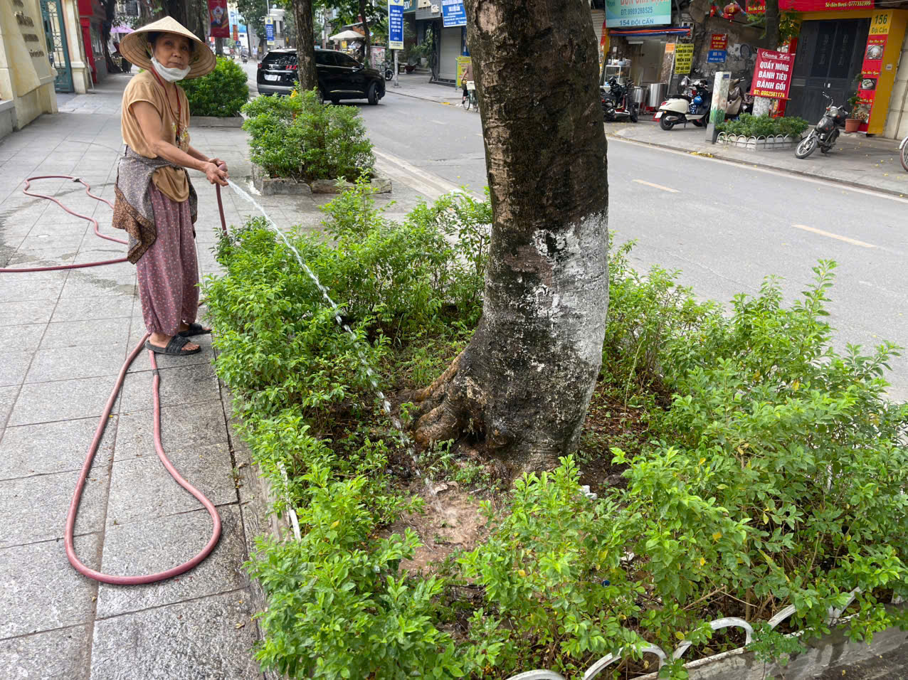 Ngày thứ 7 xanh tại phường Ngọc Hà- Ảnh 8.