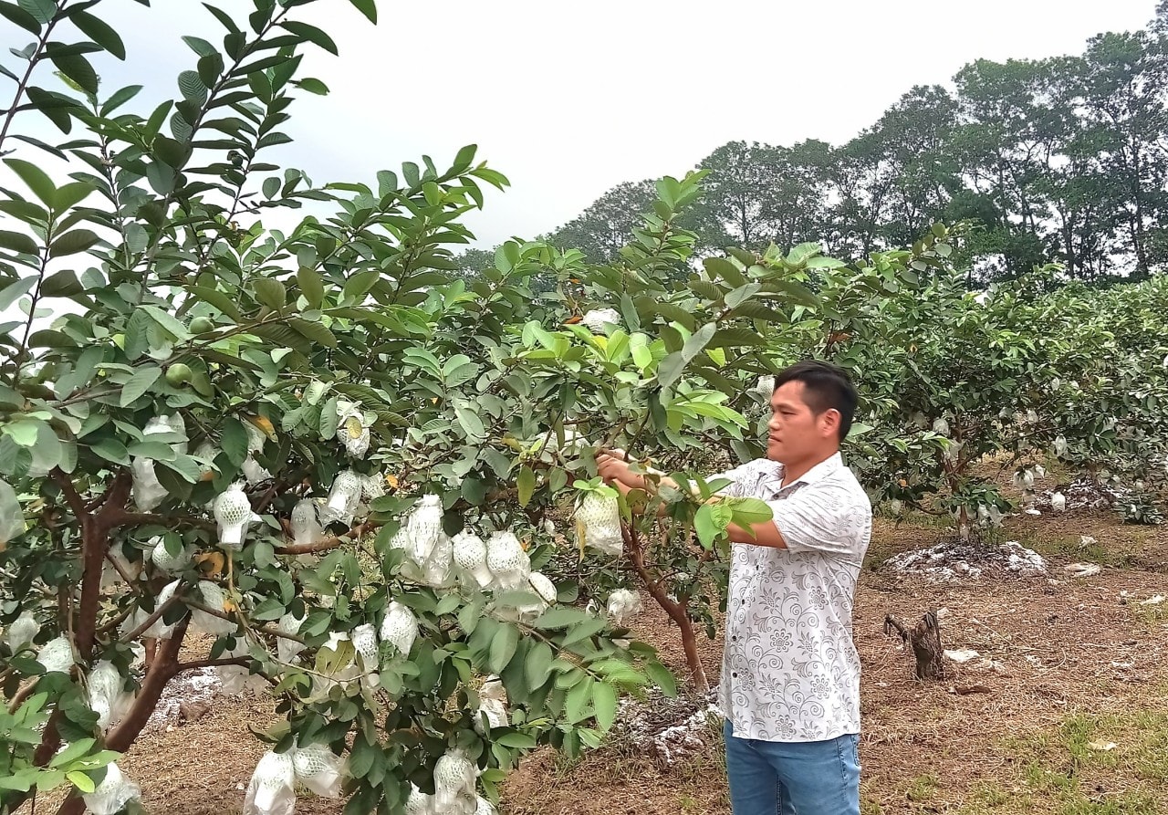 Kiến tạo tương lai trên quê hương Hoài Đức- Ảnh 2.