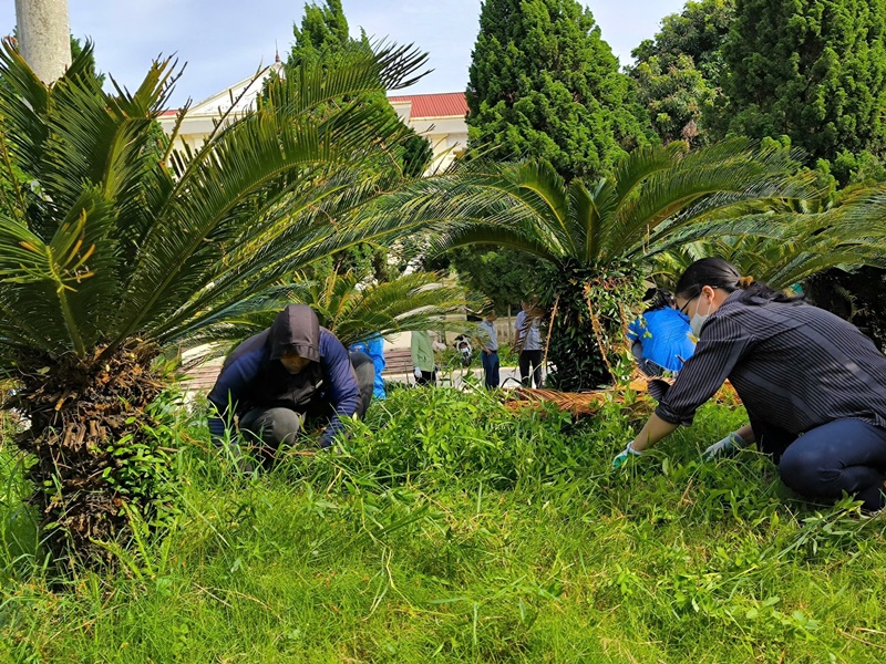 Đoàn thanh niên xã Trần Phú: tổng vệ sinh môi trường tại khuôn viên trụ sở Đảng uỷ, UBMTTQ Việt Nam xã- Ảnh 2.