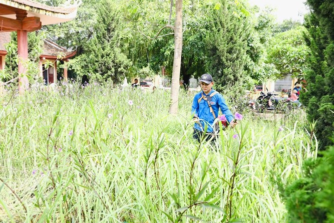 MTTQ xã Sơn Đồng và các tổ chức thành viên tổng vệ sinh, dọn dẹp, làm đẹp nghĩa trang liệt sĩ
- Ảnh 2.