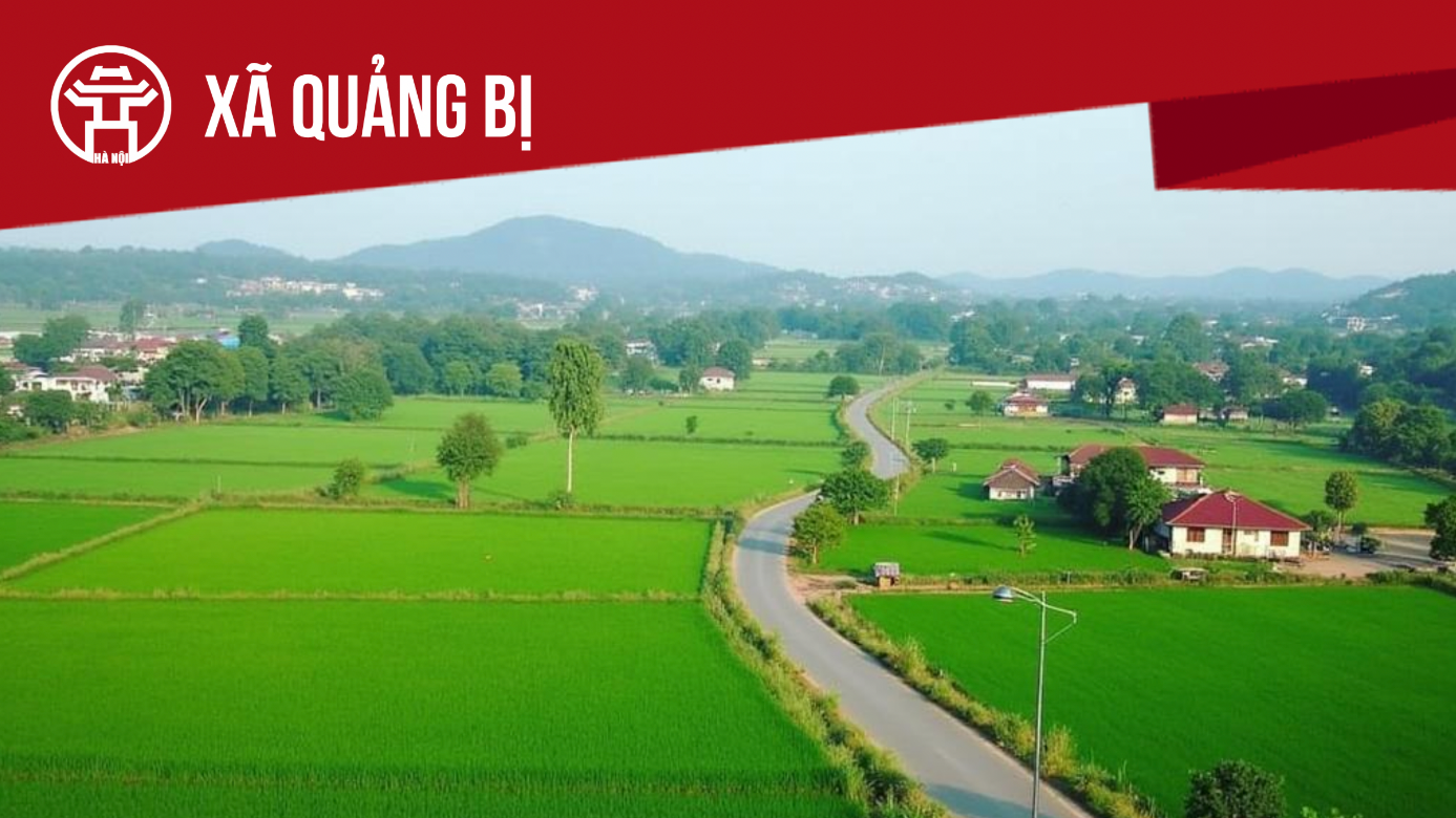 A road leading to a green field  AI-generated content may be incorrect.