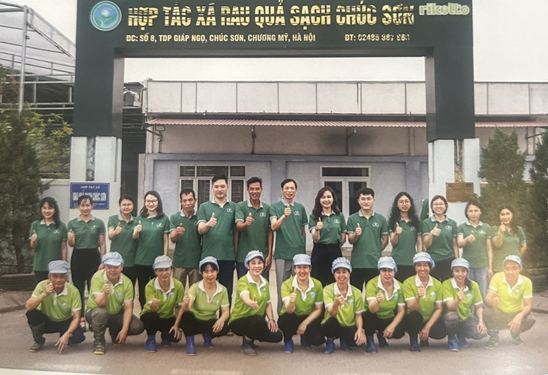 HTX Rau quả sạch Chúc Sơn Sản xuất thực phẩm sạch, có trách nhiệm, vì sức khỏe cộng đồng- Ảnh 1.