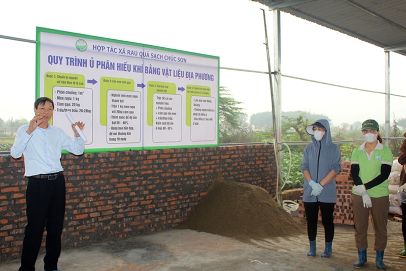 HTX Rau quả sạch Chúc Sơn Sản xuất thực phẩm sạch, có trách nhiệm, vì sức khỏe cộng đồng- Ảnh 3.
