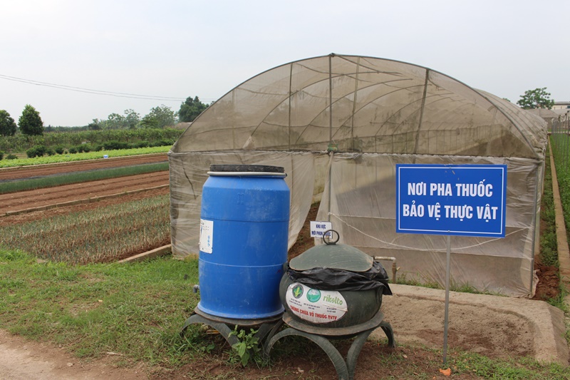 HTX Rau quả sạch Chúc Sơn Sản xuất thực phẩm sạch, có trách nhiệm, vì sức khỏe cộng đồng- Ảnh 4.