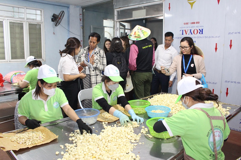 HTX Rau quả sạch Chúc Sơn Sản xuất thực phẩm sạch, có trách nhiệm, vì sức khỏe cộng đồng- Ảnh 8.
