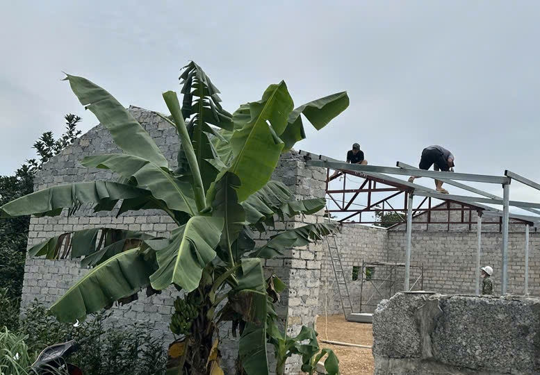 A building under construction with a banana tree  AI-generated content may be incorrect.