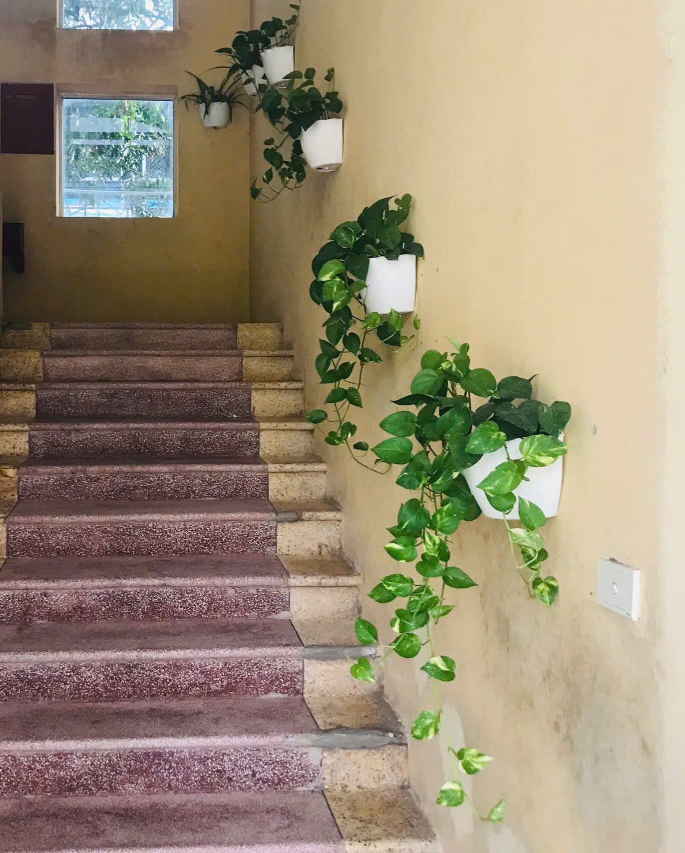 Trung tâm Bảo trợ Xã hội 2 Hà Nội sôi nổi tổ chức chấm điểm Phong trào thi đua Sáng - Xanh - Sạch - Đẹp giữa các phòng, tổ
- Ảnh 3.