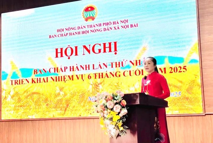 HỘI NÔNG DÂN XÃ NỘI BÀI TỔ CHỨC HỘI NGHỊ BAN CHẤP HÀNH LẦN THỨ NHẤT- Ảnh 1.
