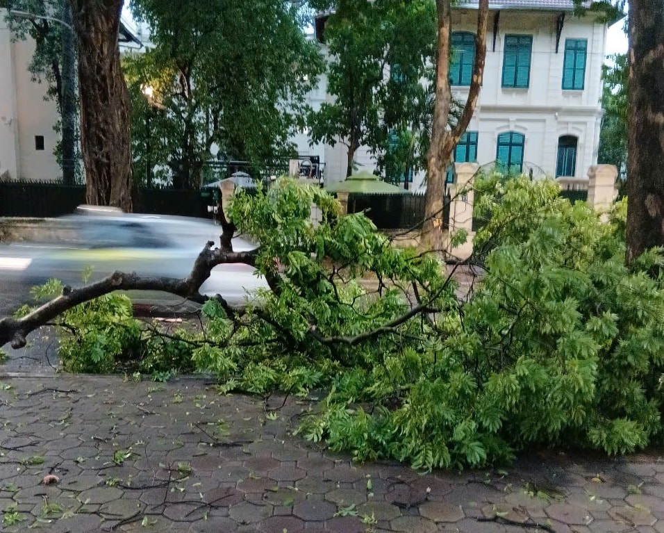 Hà Nội: Nước rút nhanh sau mưa giông, chưa gây ngập úng- Ảnh 9.