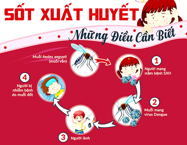 Tổng vệ sinh môi trường, diệt lăng quăng, bọ gậy chủ động phòng chống sốt xuất huyết năm 2025- Ảnh 1.