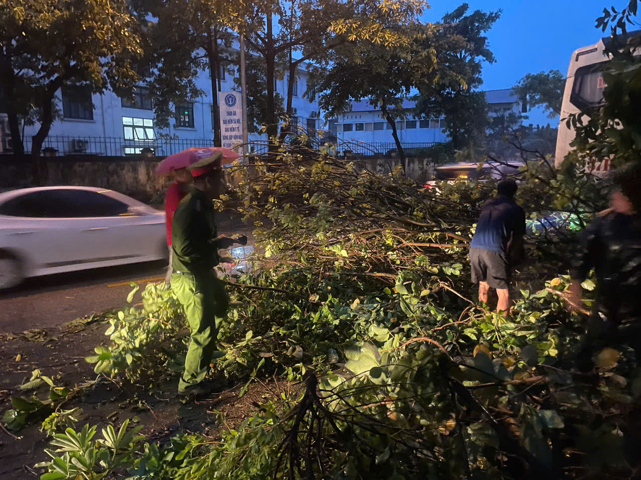 Gia Lâm: Công an xã khẩn trương dọn dẹp cây đổ sau cơn dông chiều 19/07- Ảnh 3.