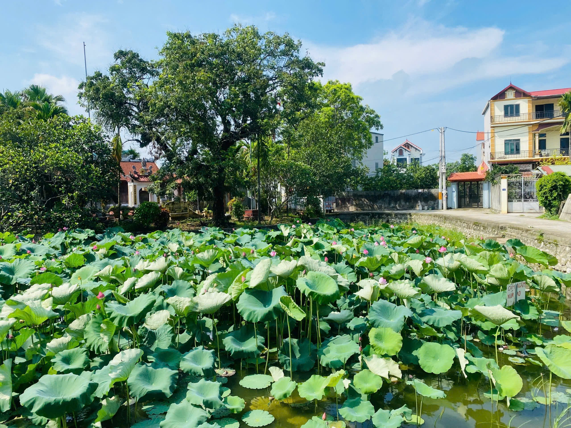 Xã Ứng Thiên tổ chức hội nghị UBND đầu tiên theo mô hình chính quyền địa phương hai cấp- Ảnh 1.