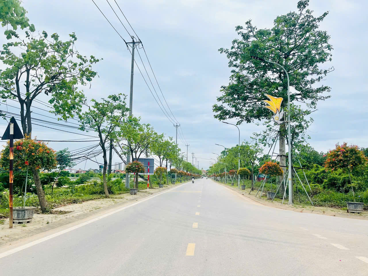 Thanh Trì: Bảo tồn và phát triển- Ảnh 5.