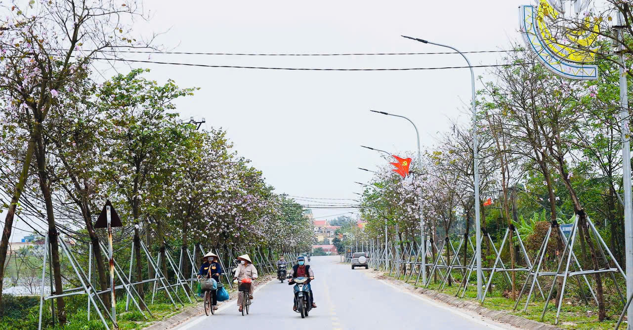 Thanh Trì: Bảo tồn và phát triển- Ảnh 2.