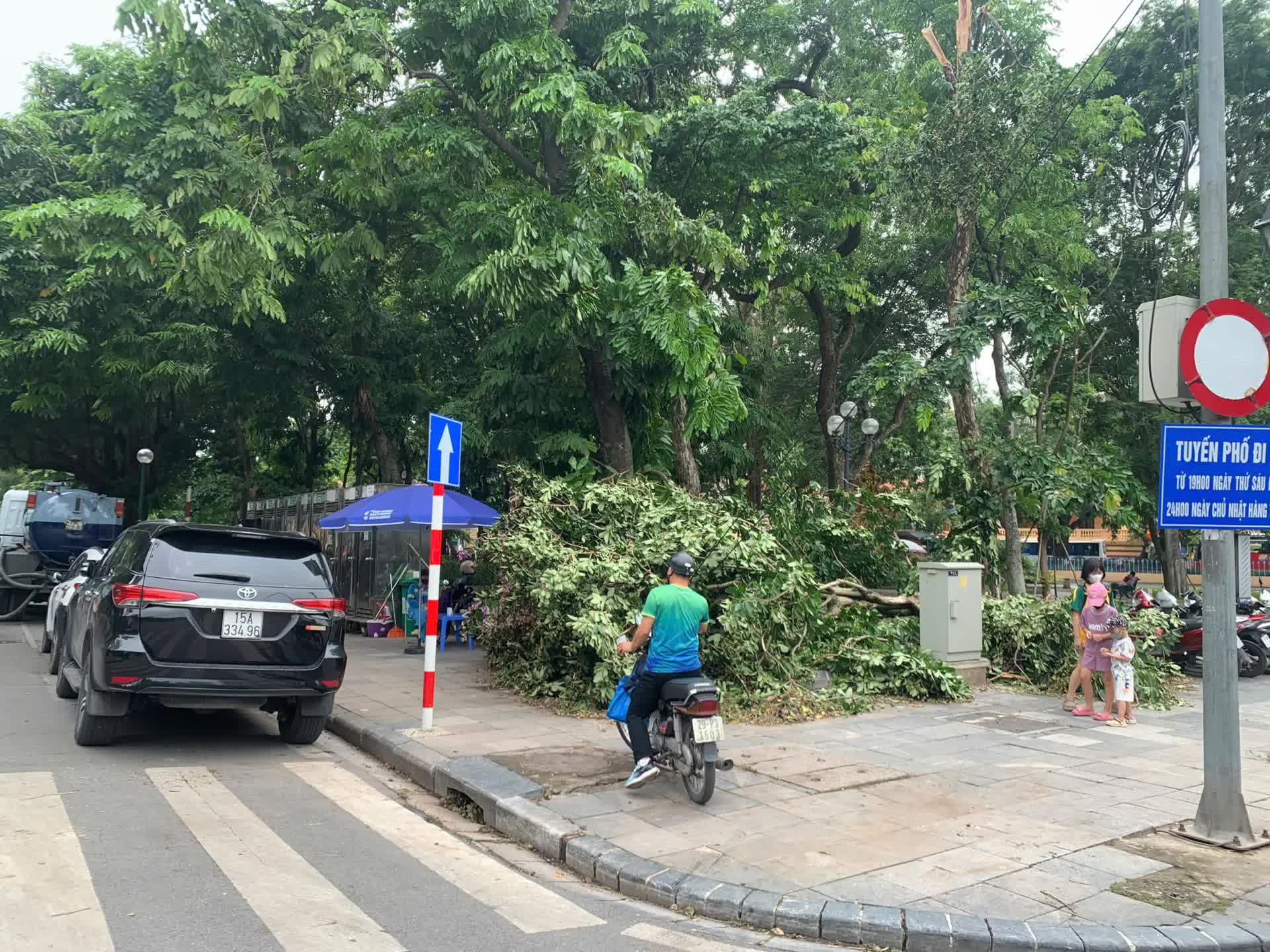 Hà Nội yêu cầu các xã, phường, sở ngành tập trung ứng phó bão số 3- Ảnh 1.