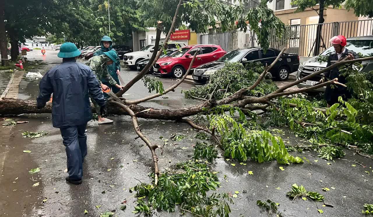 Bão số 3 tiến gần đất liền, người dân nên làm gì để ứng phó?- Ảnh 2.