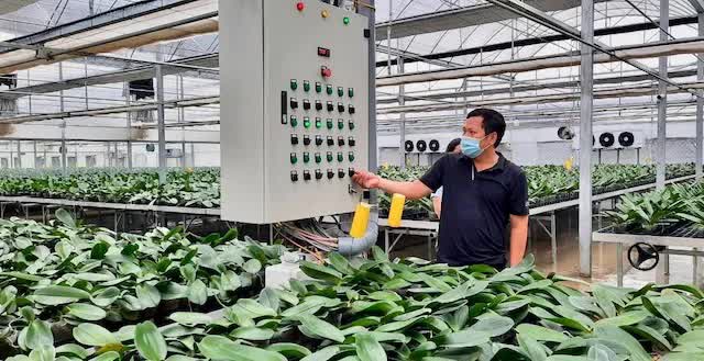 Người hồi sinh vùng đất trũng, sẻ chia với người khó khăn- Ảnh 1.