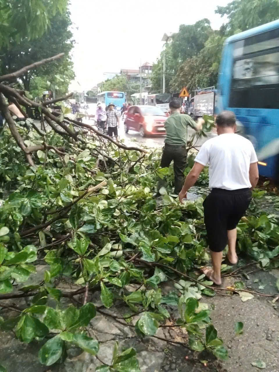 Ra quân "Ngày cuối tuần xanh" hưởng ứng kỷ niệm 78 năm ngày thương binh - liệt sĩ và chào mừng đại hội Đảng bộ xã Ứng Thiên lần thứ I, nhiệm kỳ 2025-2030- Ảnh 3.