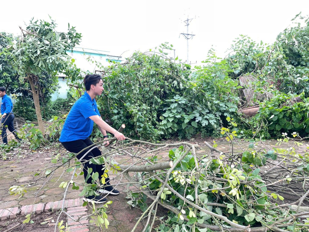 Tuổi trẻ Gia Lâm ra quân hưởng ứng Ngày Chủ nhật xanh- Ảnh 4.