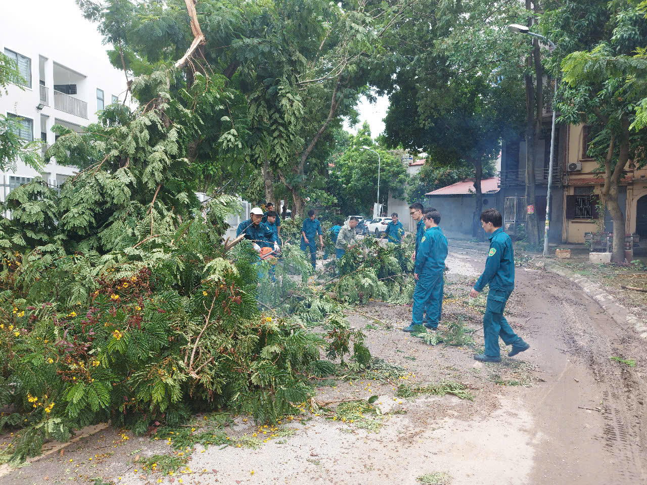 Phường Yên Sở ra quân khắc phục hậu quả cơn mưa dông chiều 19/7- Ảnh 2.