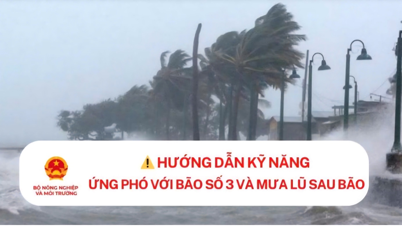 Hướng dẫn kỹ năng ứng phó với bão số 3 và mưa lũ sau bão- Ảnh 1.