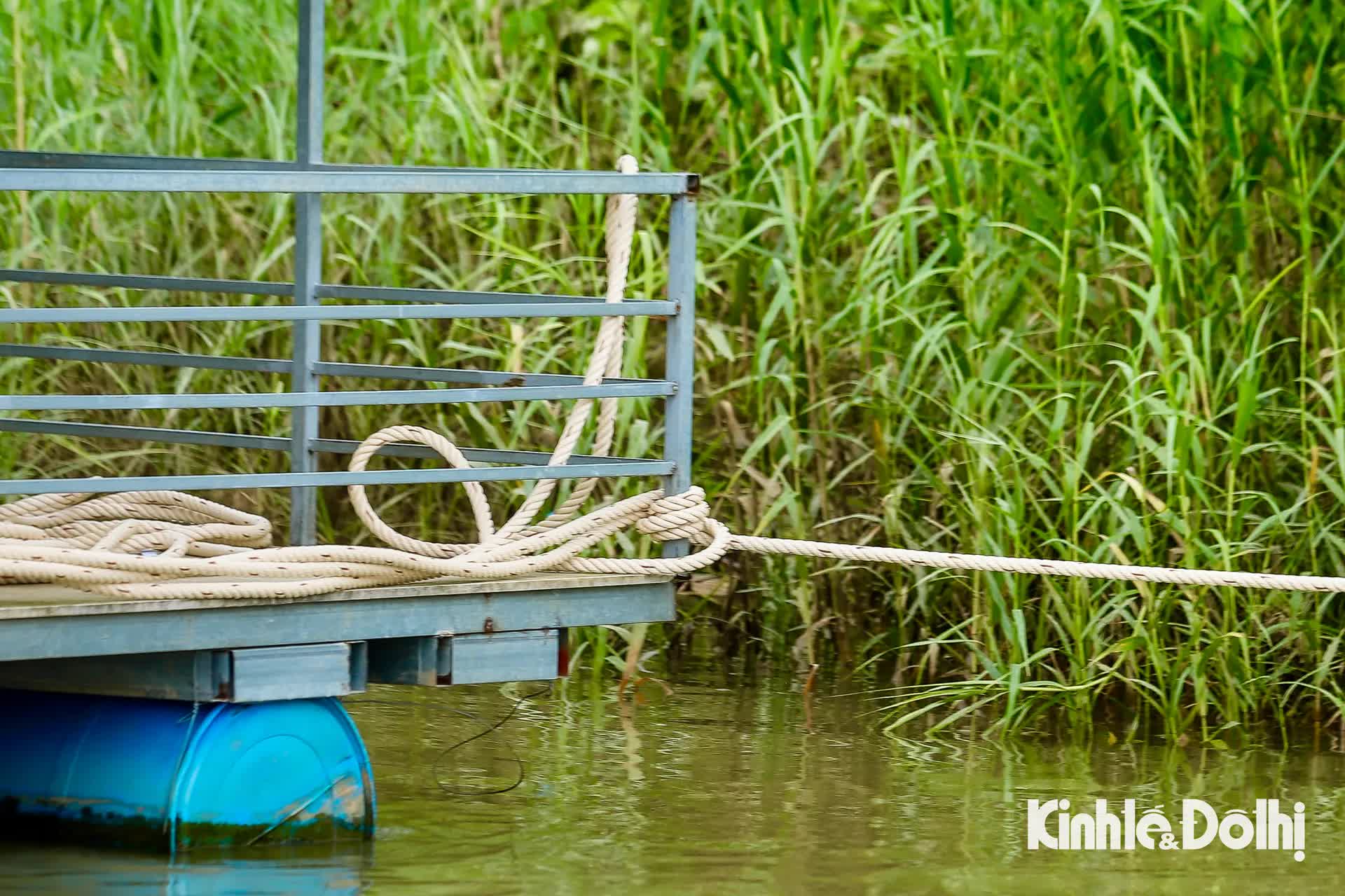 Ứng phó bão số 3: Hà Nội triển khai nhiều biện pháp bảo vệ người dân sống ven sông- Ảnh 11.