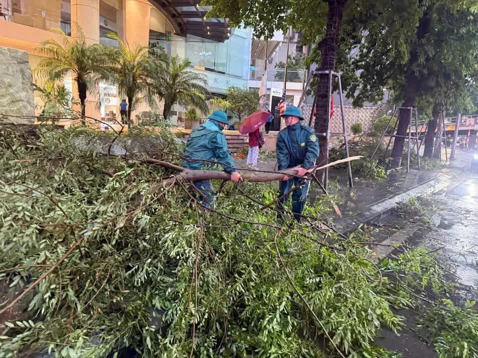 Phường Đống Đa triển khai công tác ứng phó với cơn bão số 3 Wipha- Ảnh 4.